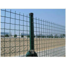 50x50mm malha de PVC Eurofence revestido de boa qualidade